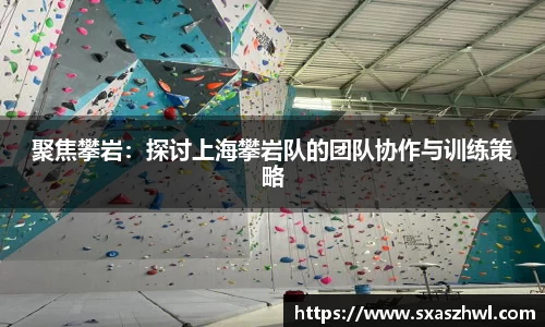 聚焦攀岩：探讨上海攀岩队的团队协作与训练策略