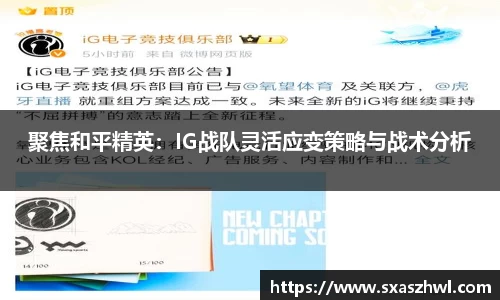 聚焦和平精英：IG战队灵活应变策略与战术分析