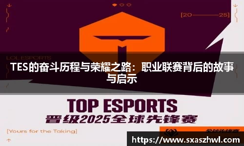 TES的奋斗历程与荣耀之路：职业联赛背后的故事与启示
