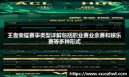 王者荣耀赛事类型详解包括职业赛业余赛和娱乐赛等多种形式