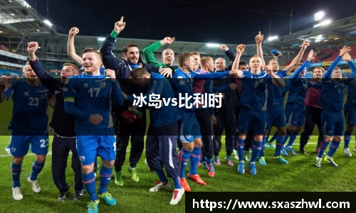 冰岛vs比利时