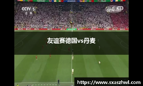 友谊赛德国vs丹麦