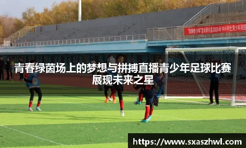 青春绿茵场上的梦想与拼搏直播青少年足球比赛展现未来之星