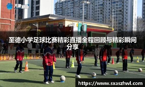 球友体育在线直播观看