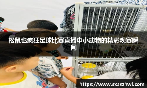 qy球友会体育