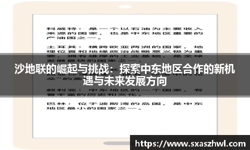 沙地联的崛起与挑战：探索中东地区合作的新机遇与未来发展方向