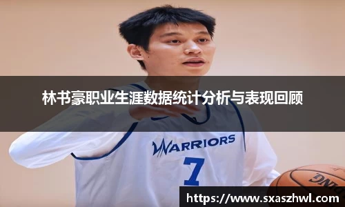 林书豪职业生涯数据统计分析与表现回顾